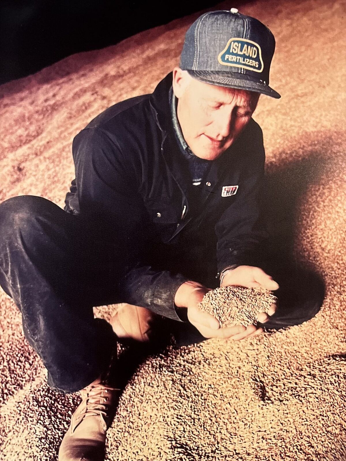 A farmer's hands full of freshly harvested grain