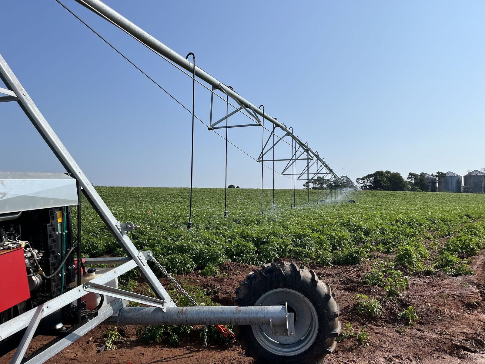 An irrigation pivot watering a green potato field in summer